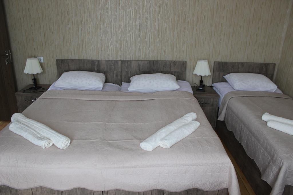 Inga Guest House Kazbegi Dış mekan fotoğraf
