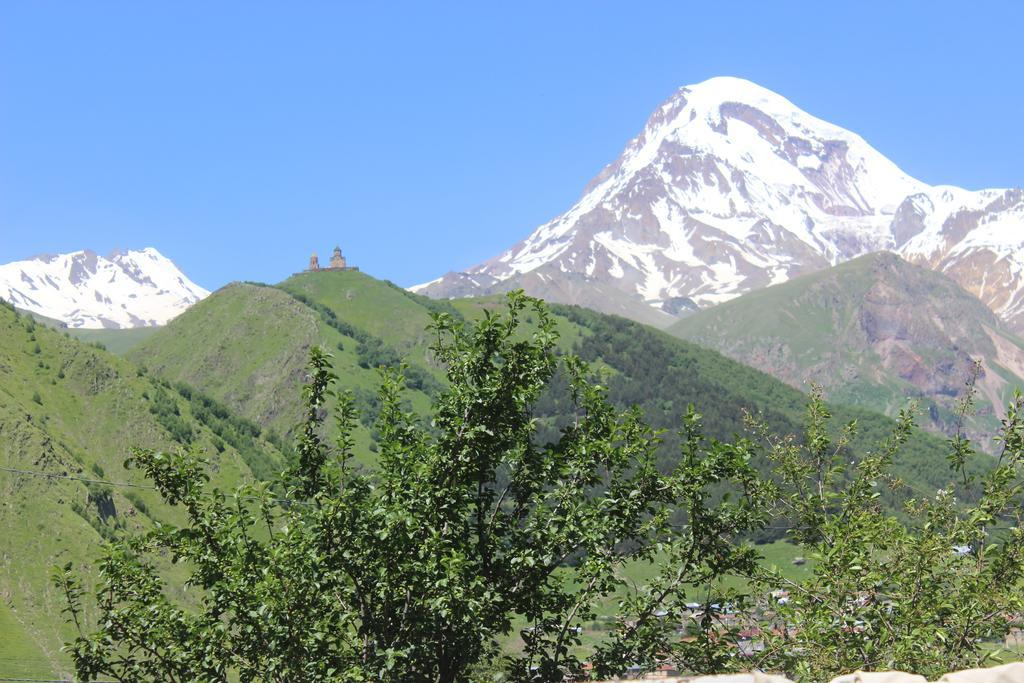 Inga Guest House Kazbegi Dış mekan fotoğraf