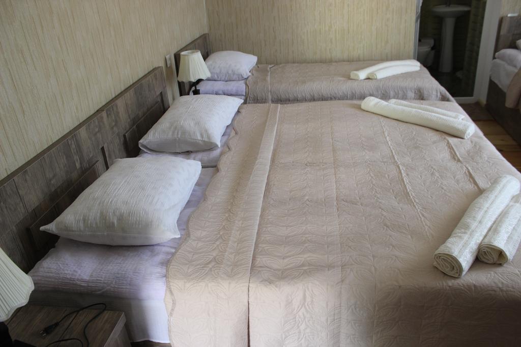 Inga Guest House Kazbegi Dış mekan fotoğraf